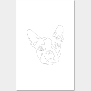 Boston Terrier Posters and Art